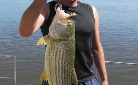 Angling, Caprivi Houseboats Safaris Lodge
