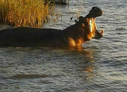 BOOK DIRECT - 5% Discount