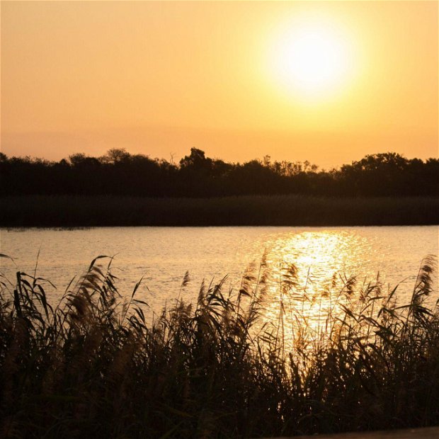 iSimangaliso Wetland Park