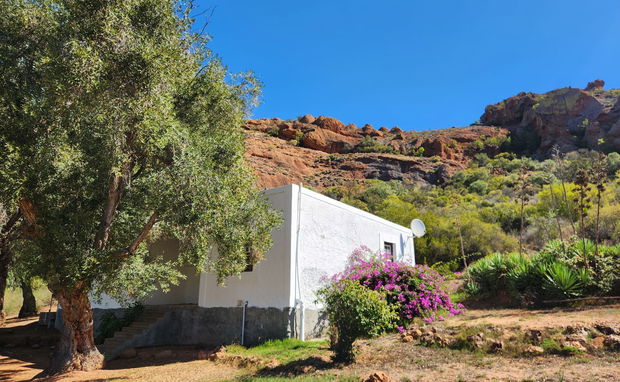Red stone hills Ostrich Palace  Accommodation