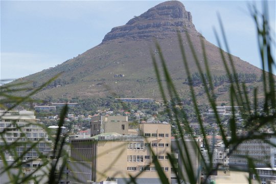 Climb Lions Head 