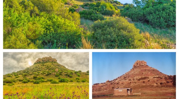 Amohela ho Spitskop Country Retreat - with 20 years of REWILDING - from a barren landscape to a thriving habitat for plants -people and animals.humans 