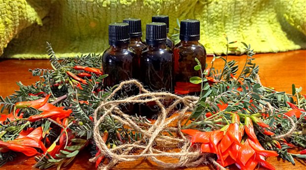 Amohela ho Spitskop - WildFields Apothecary - where we make beautiful healing soothing infused oils and other products for sale at the Retreat and online.