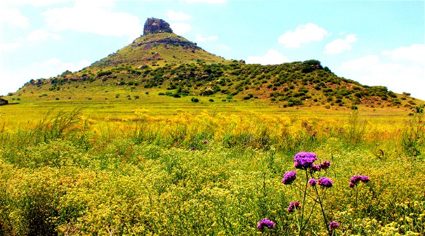 Amohela ho Spitskop - owned by Mpetsane Conservation Estate ( Pty) Ltd - for sale by owners who wish to retire.