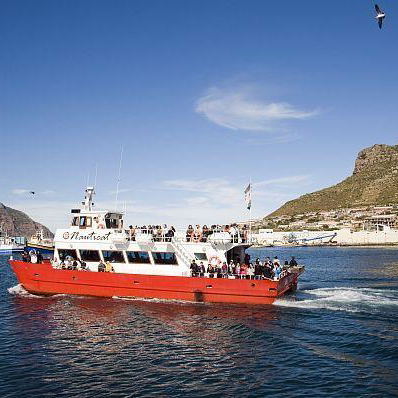 Experience Simonstown