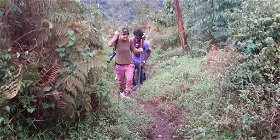 Batwa/Pygmie Forest Experience