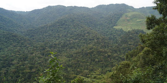 Hill Hiking