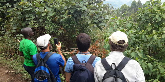 Volcano Hiking in Mgahinga