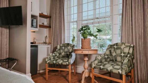 Sitting area in a studio apartment with two patterned green armchairs, a wooden side table with a potted plant, and a small kitchenette.