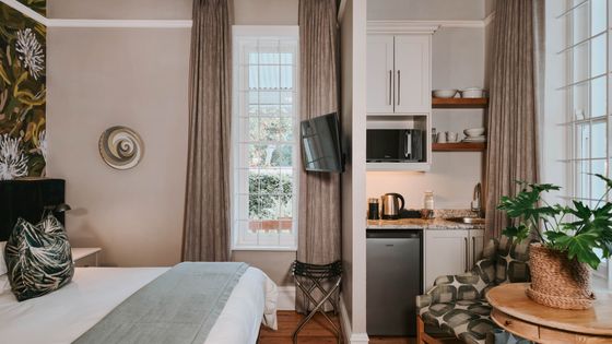 Studio apartment with a double bed, wall-mounted TV, compact kitchenette with microwave and under-counter fridge, and a potted plant by a window.