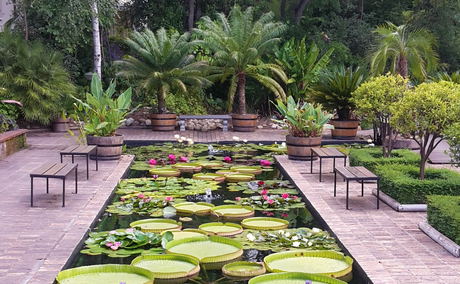 Stellenbosch Botanical Garden