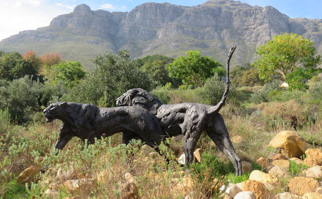 Best Gardens in Stellenbosch Best Gardens in Stellenbosch