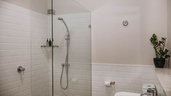 Walk-in shower with a glass screen, white subway tile walls, a handheld shower head, and a potted plant beside the sink.