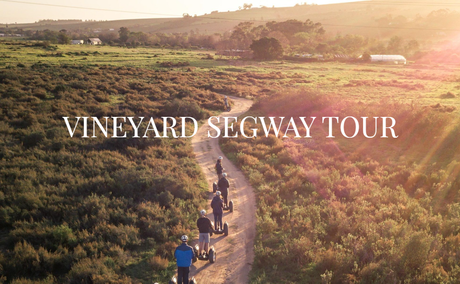 Segway Vineyard Tours