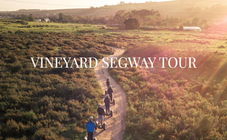 Segway Vineyard Tours