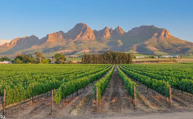 Stellenbosch, no wine, activities