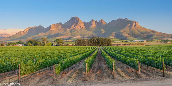 Stellenbosch, no wine, activities Stellenbosch, no wine, activities