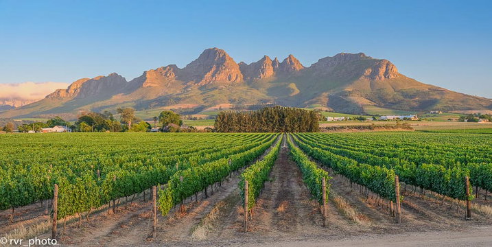 Stellenbosch, no wine, activities