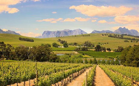 Stellenbosch inspired comfort dishes to try at home