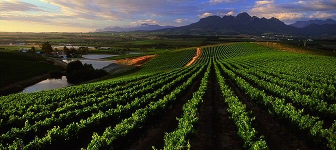 4 facts about Stellenbosch you may not know