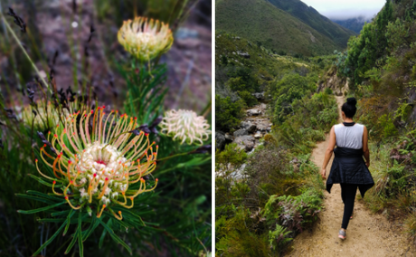 Tweede Waterval Hike Tweede Waterval Hike