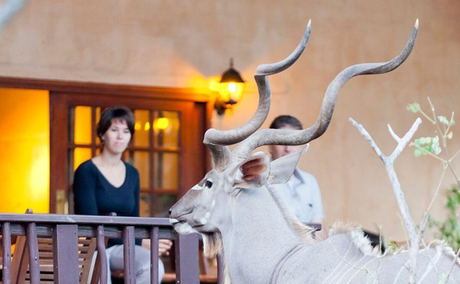 Three night safari package Kruger Park