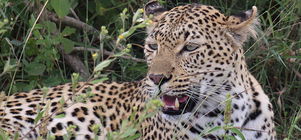 Tracks and Trails - 4 Night Package 27