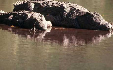 Rivers of Kruger National Park