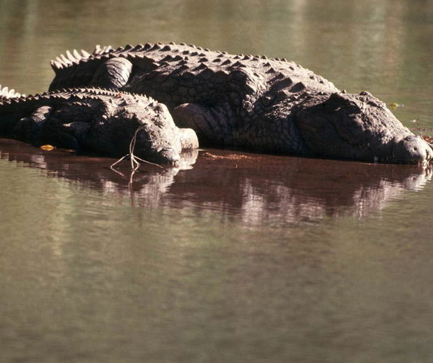 Rivers of Kruger National Park