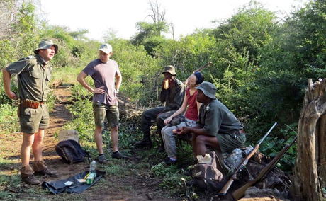 Bush Walk Kruger National Park
