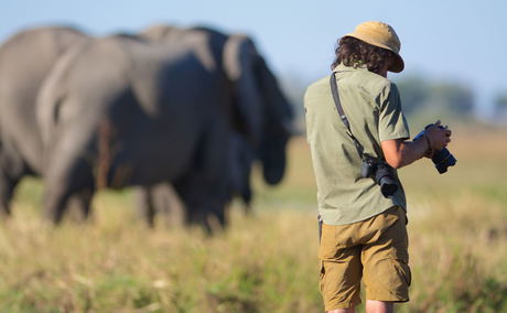 Wildlife Safari Photography in South Africa