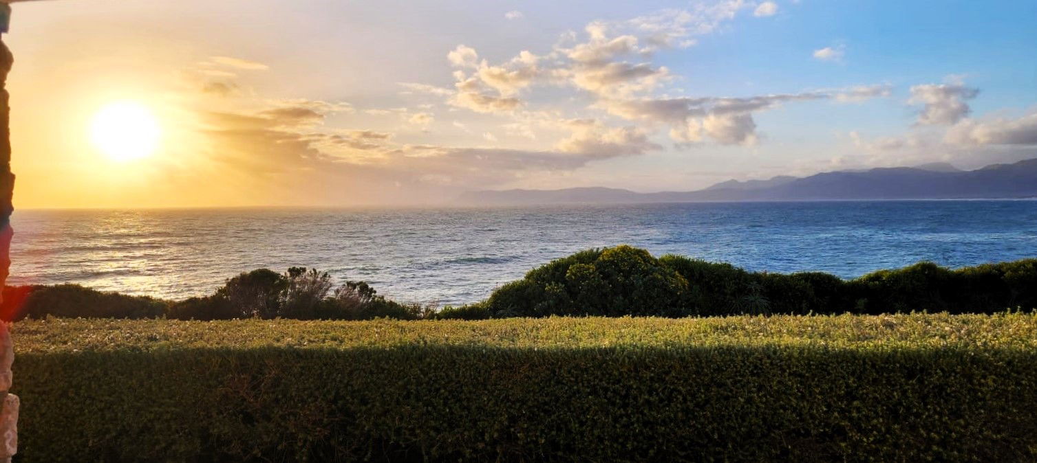 King Protea Suite View