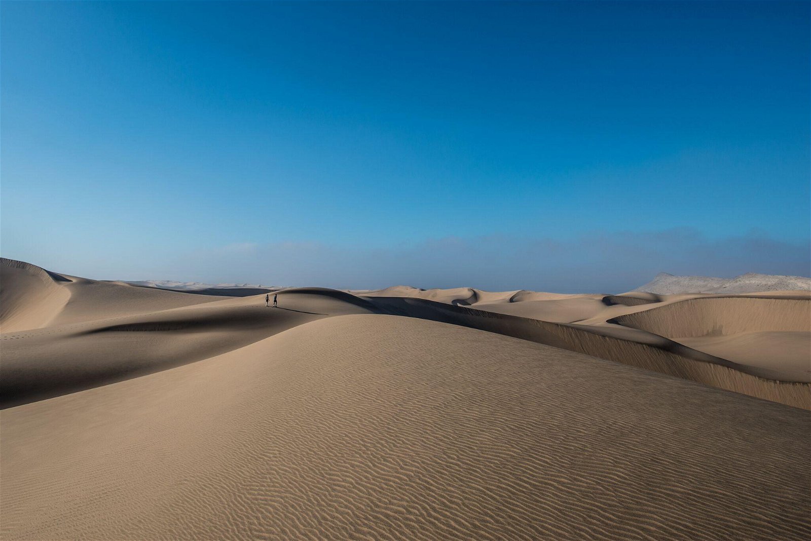 Prepare for your Namib Experience