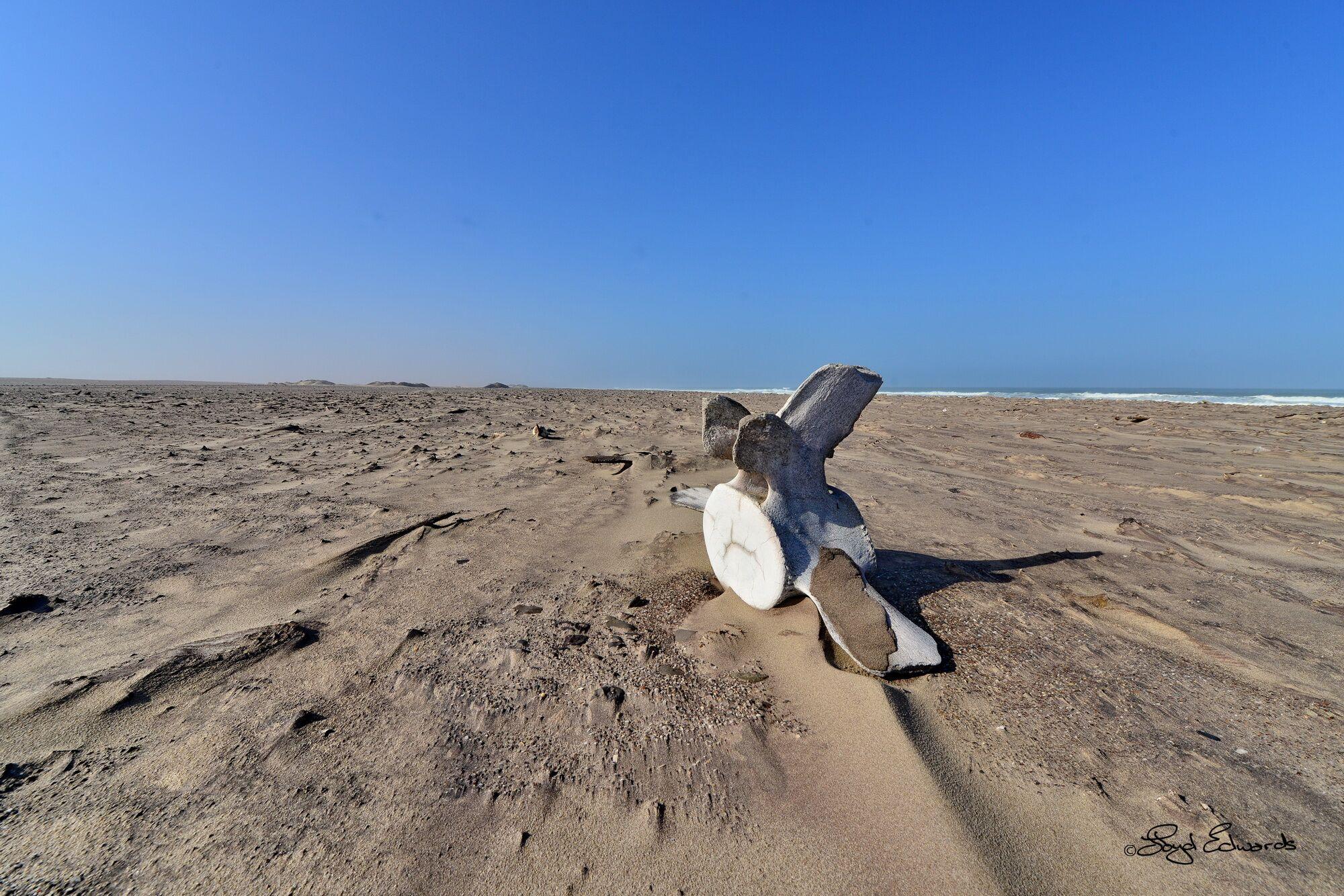 Prepare for your Namib Experience