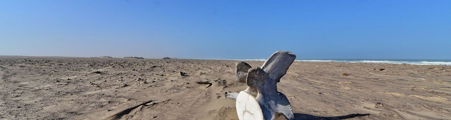 Prepare for your Namib Experience
