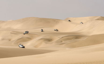 Faces of the Namib