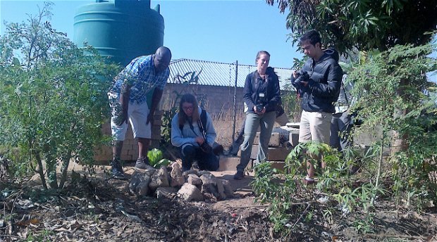 Acoernhoek Community Gardens Acoernhoek Community Gardens