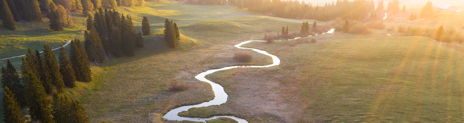 Health-Management leadership and Stress & Resilience coaching Betzdorf