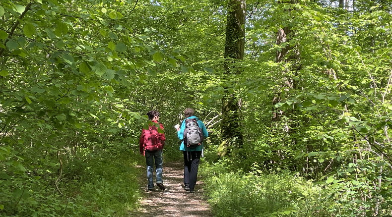 Walking coaching