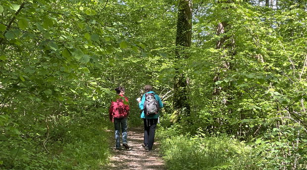 Walking coaching