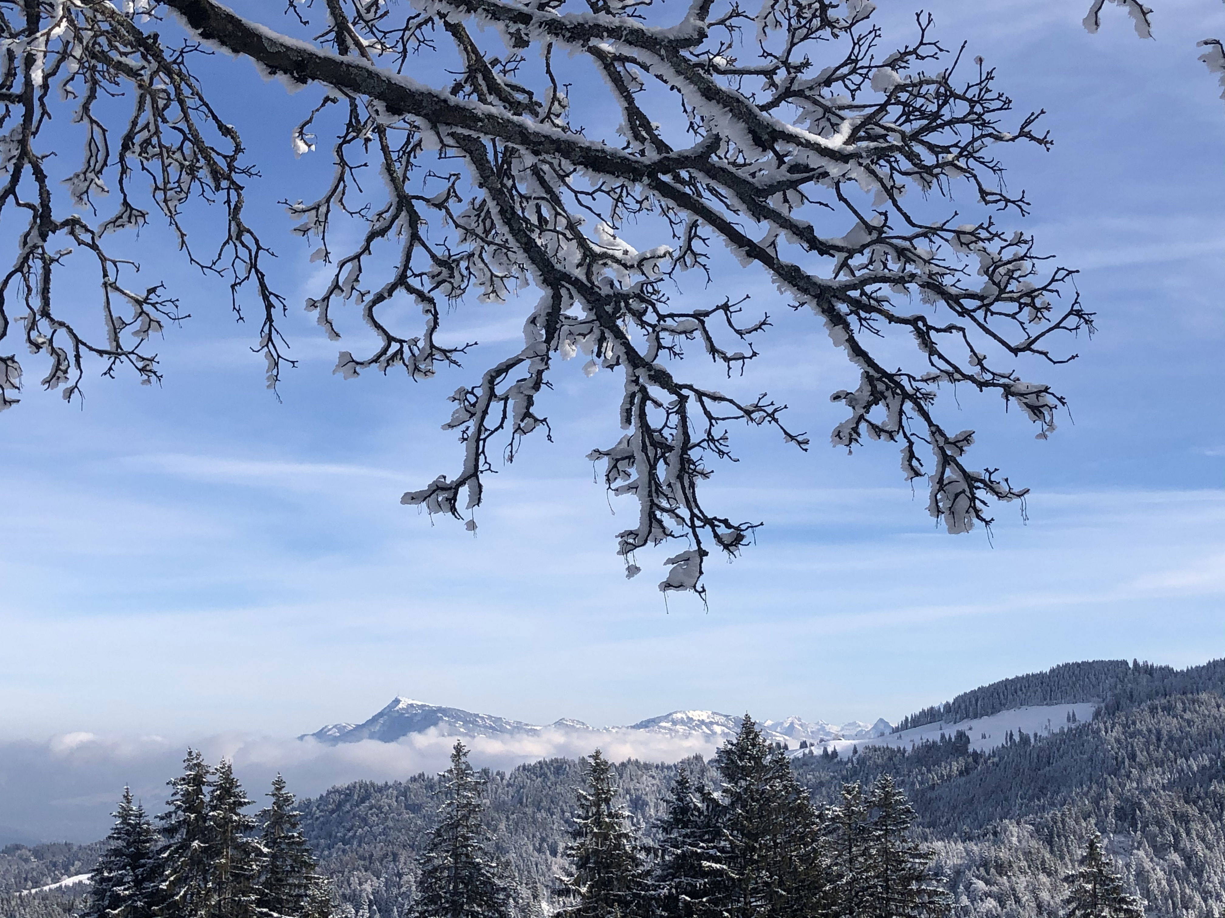 Nature Coaching - Swiss mountains