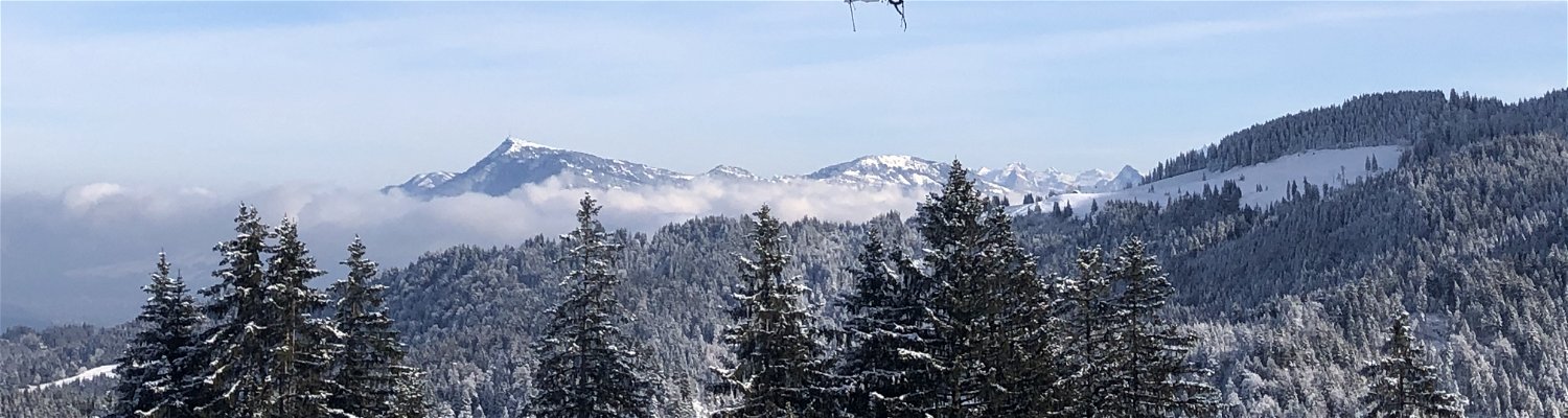 Nature Coaching - Swiss mountains