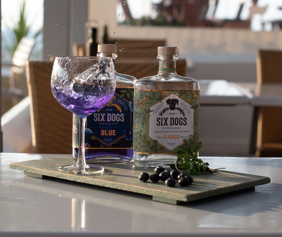 Six dogs gin