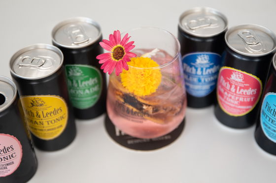 Great selection of gintails