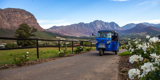 Tuk Tuk Transfers