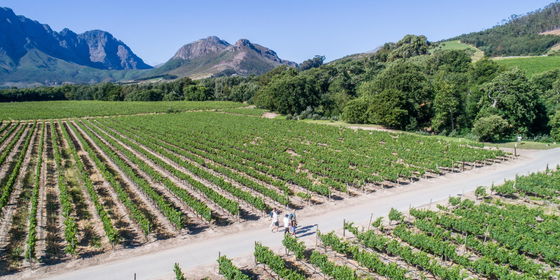 The Franschhoek Wine Walk
