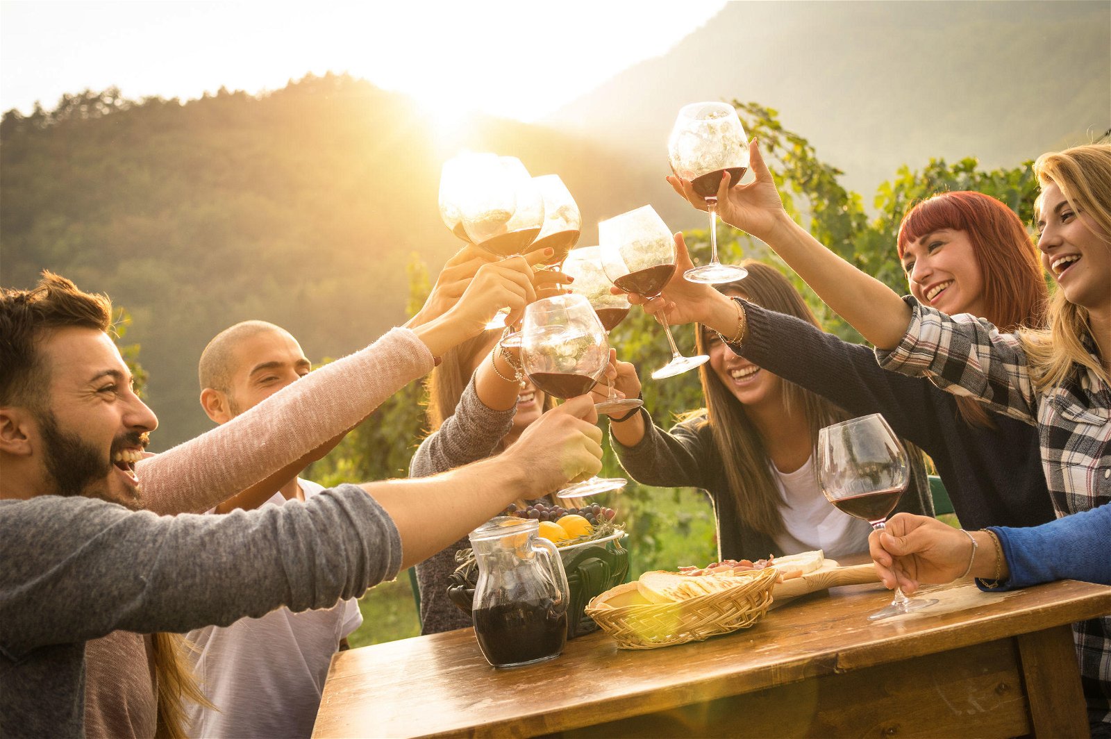 Tuktuk Wine Tours and Wine Tasting in the Franschhoek Valley