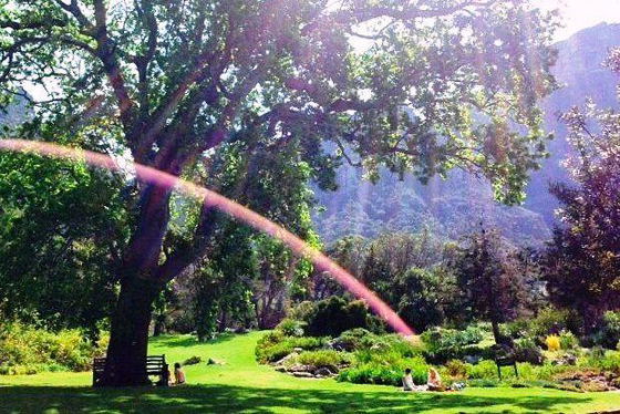 Kirstenbosch Gardens