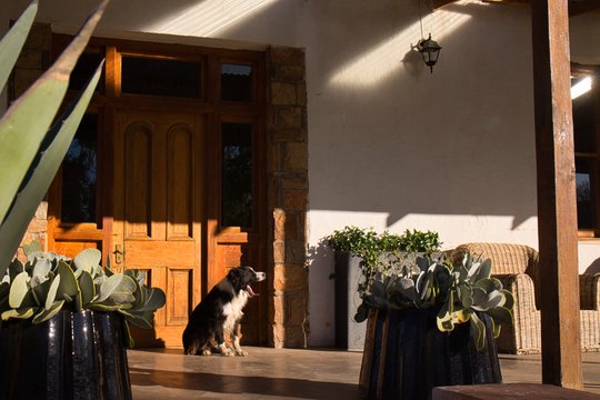 Pet friendly Karoo Cottage Sneeuberg Nature Reserve