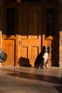 Pet friendly Karoo Cottage Sneeuberg Nature Reserve